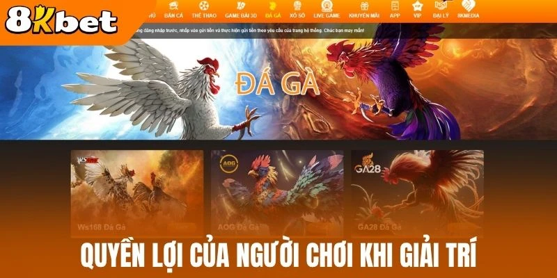 Quyền lợi của người chơi khi giải trí