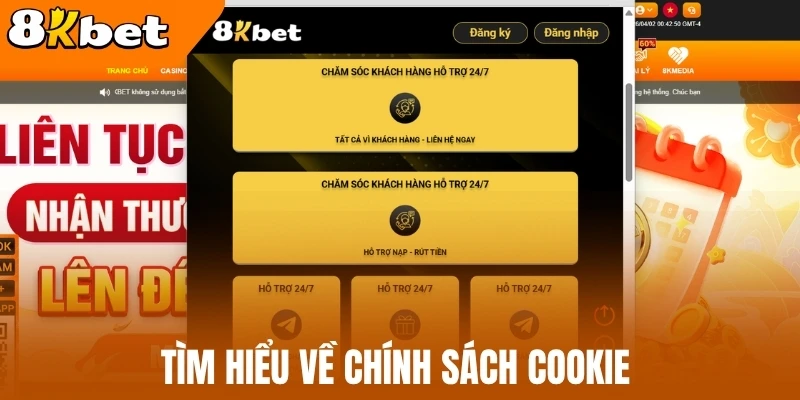 Tìm hiểu về chính sách cookie 