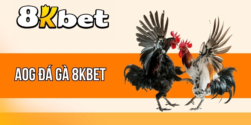 Cửa hòa trong AOG đá gà 8kBet