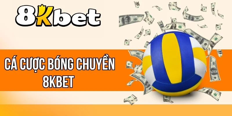 Quy trình chuẩn khi cá cược bóng chuyền