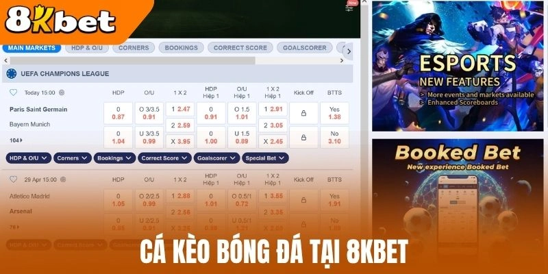Cá cược bóng đá 8kBet đa dạng giải đấu