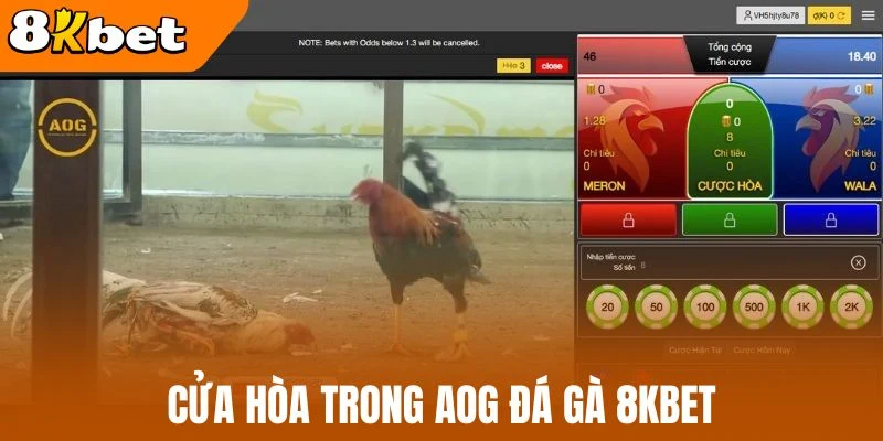 Cửa hòa trong AOG đá gà 8kBet