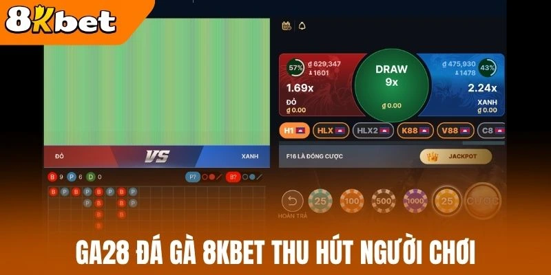 GA28 đá gà 8kBet thu hút người chơi