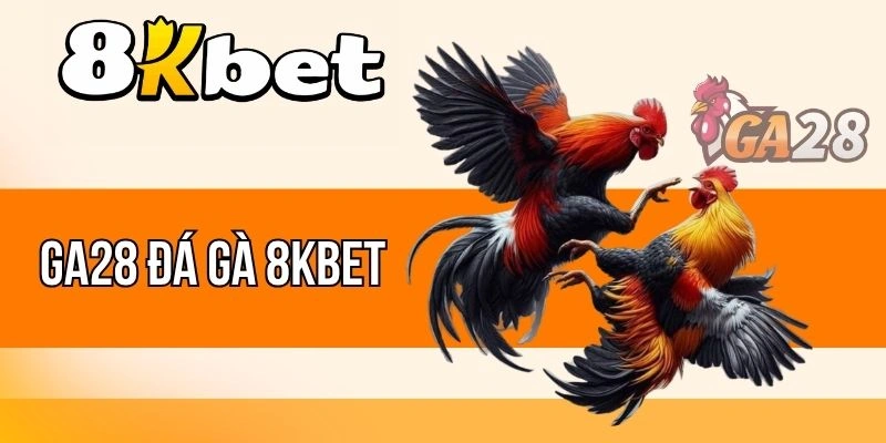 Luật chơi quy định tại GA28 đá gà 8kBet