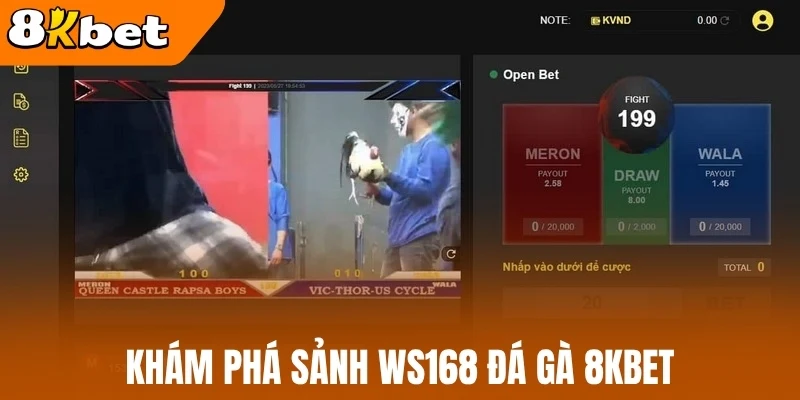 Khám phá sảnh WS168 Đá gà 8kBet