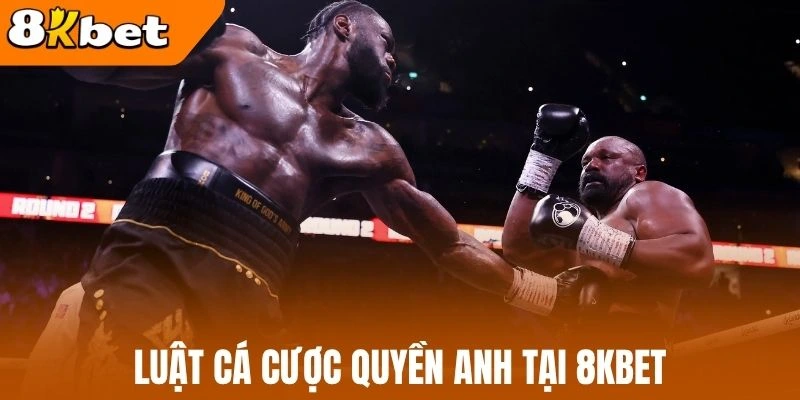 Luật cá cược quyền anh tại 8kBet