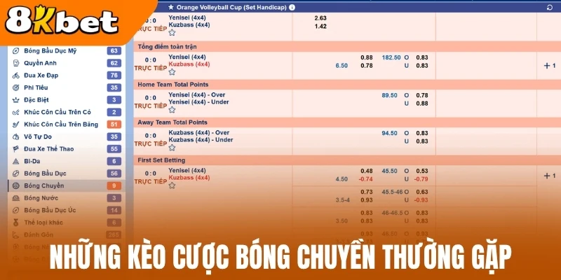 Những kèo cược bóng chuyền thường gặp
