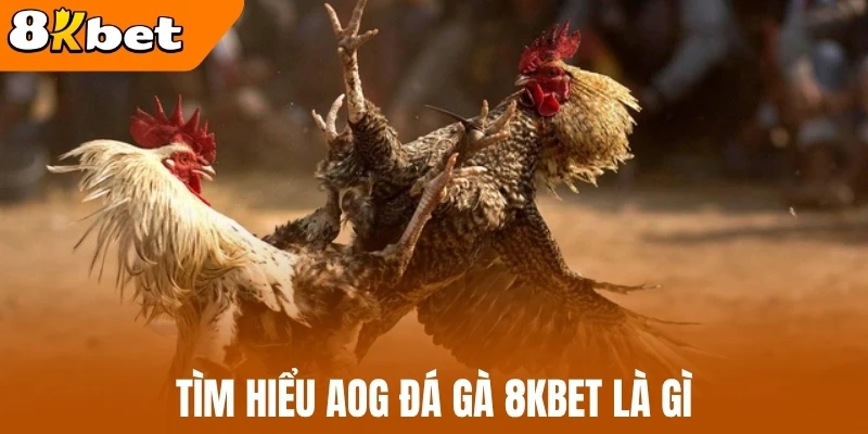 Tìm hiểu AOG Đá gà 8kBet là gì