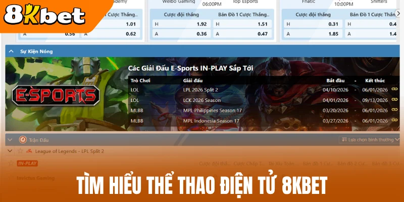 Tìm hiểu thể thao điện tử 8kBet