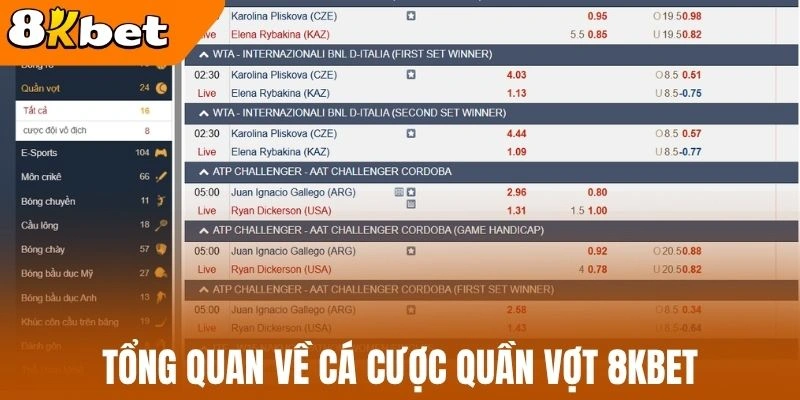 Tổng quan về cá cược quần vợt 8kBet