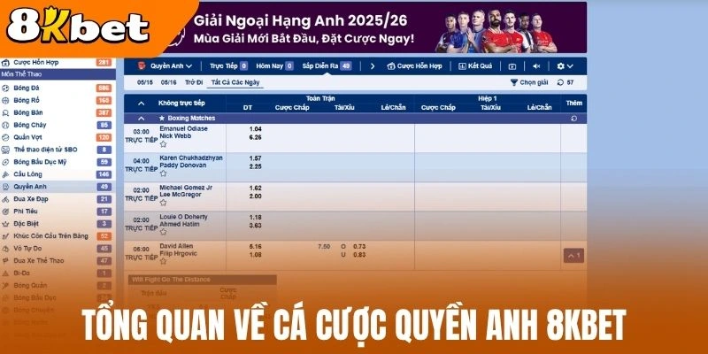 Tổng quan về cá cược quyền anh 8kBet