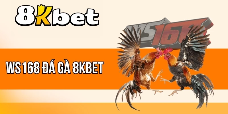Thời gian một trận WS168 đá gà 8kBet diễn ra